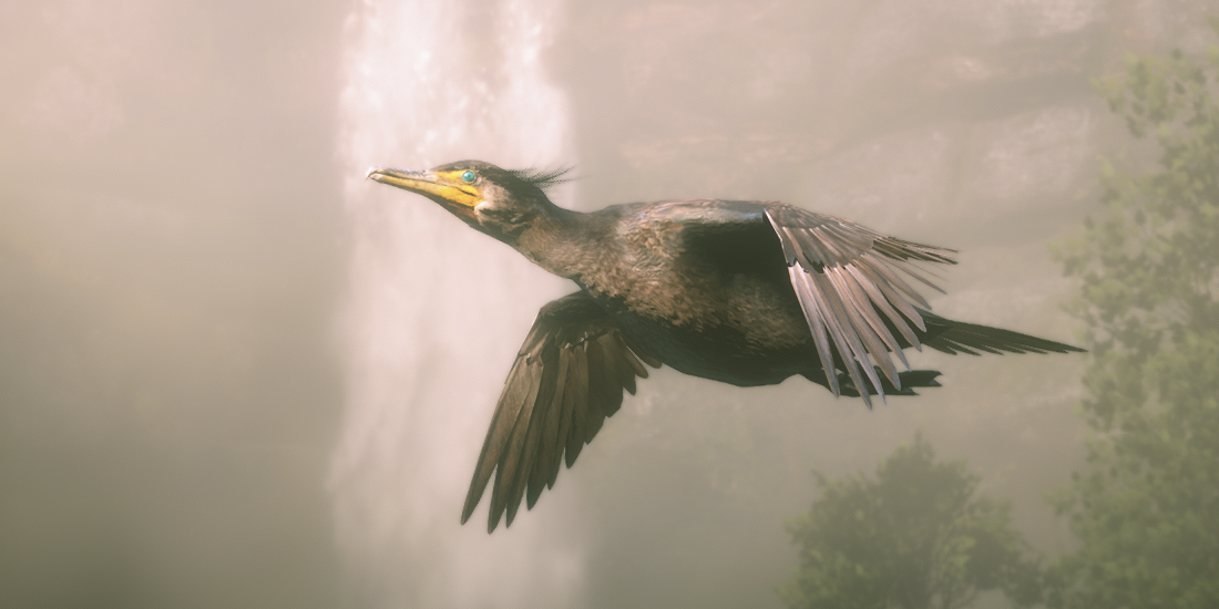 Double Crested Cormorant Red Dead Online