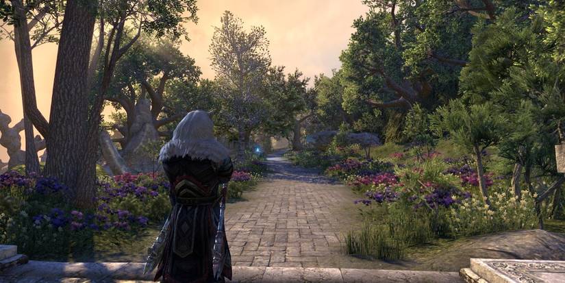 The Elder Scrolls Online Summerset Isles View