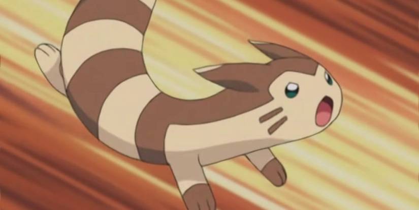 pokemon furret