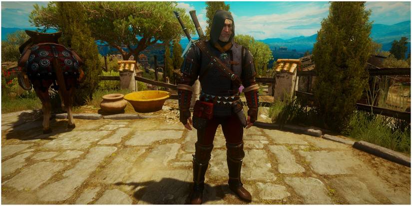 Grandmaster Feline Armor witcher 3