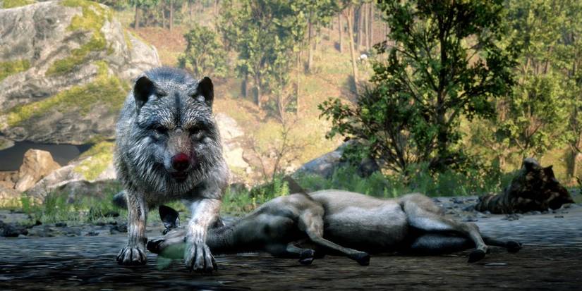 Gray Wolf Red Dead Online