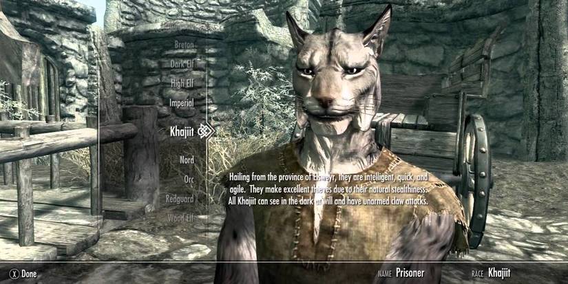 Khajiit Race Selection Option In Character Creation
