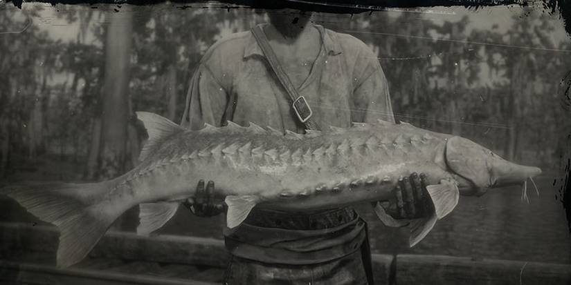 Lake Sturgeon Red Dead Online