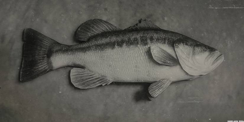 Largemouth Bass Red Dead Online