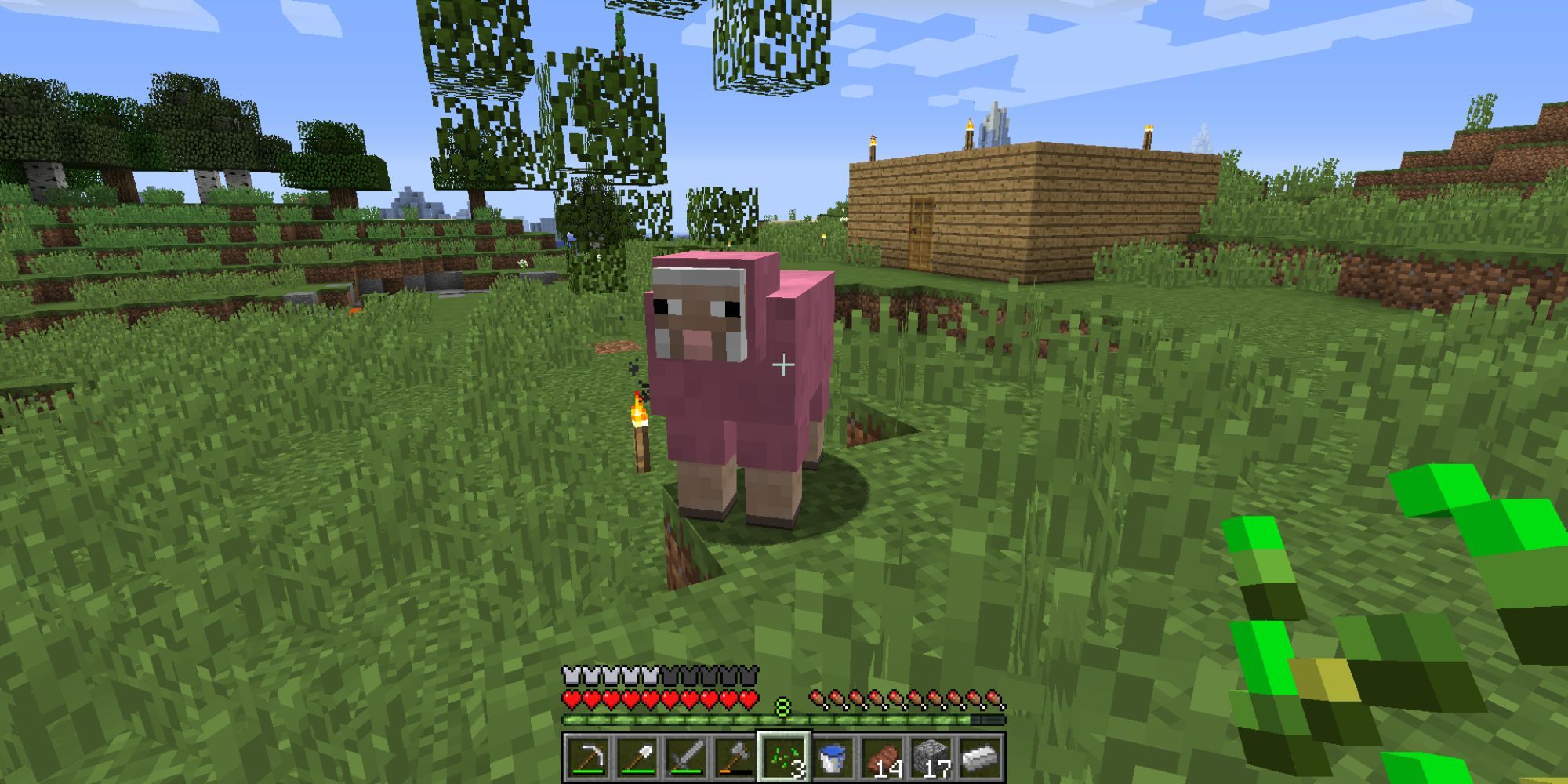 Minecraft Pink Sheep In Plains Biome