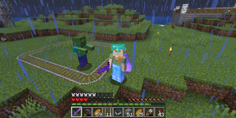 Minecraft Zombie Stuck Inside Rails