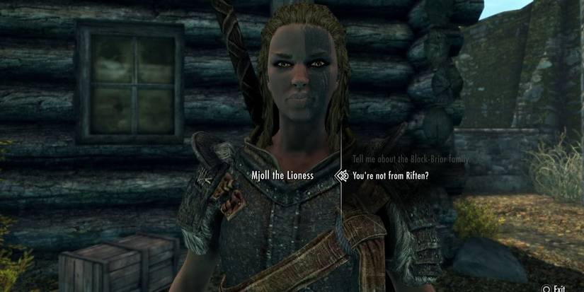 Dragonborn Talking to Mjoll The Lioness