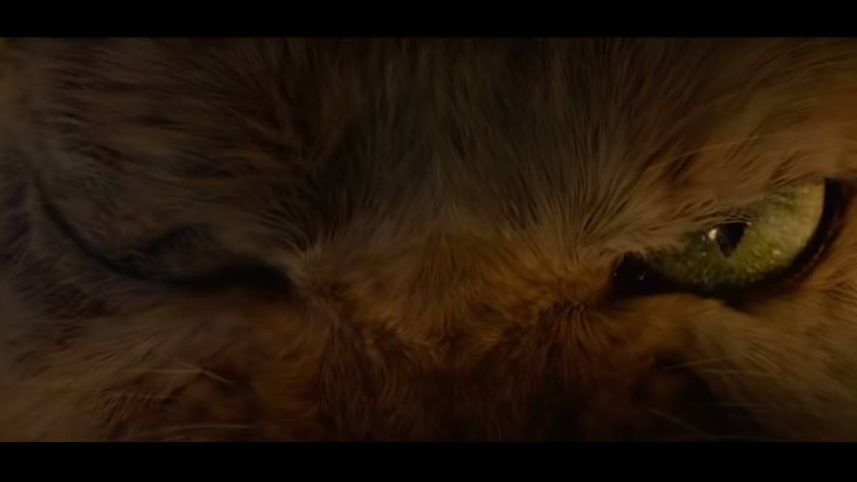 Monster Hunter Movie Palico