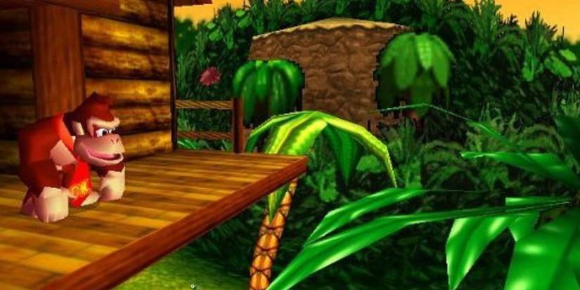 N64 Donkey Kong 64 Donkey In Home