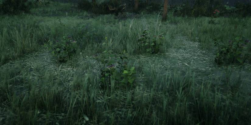 Oregano Red Dead Online