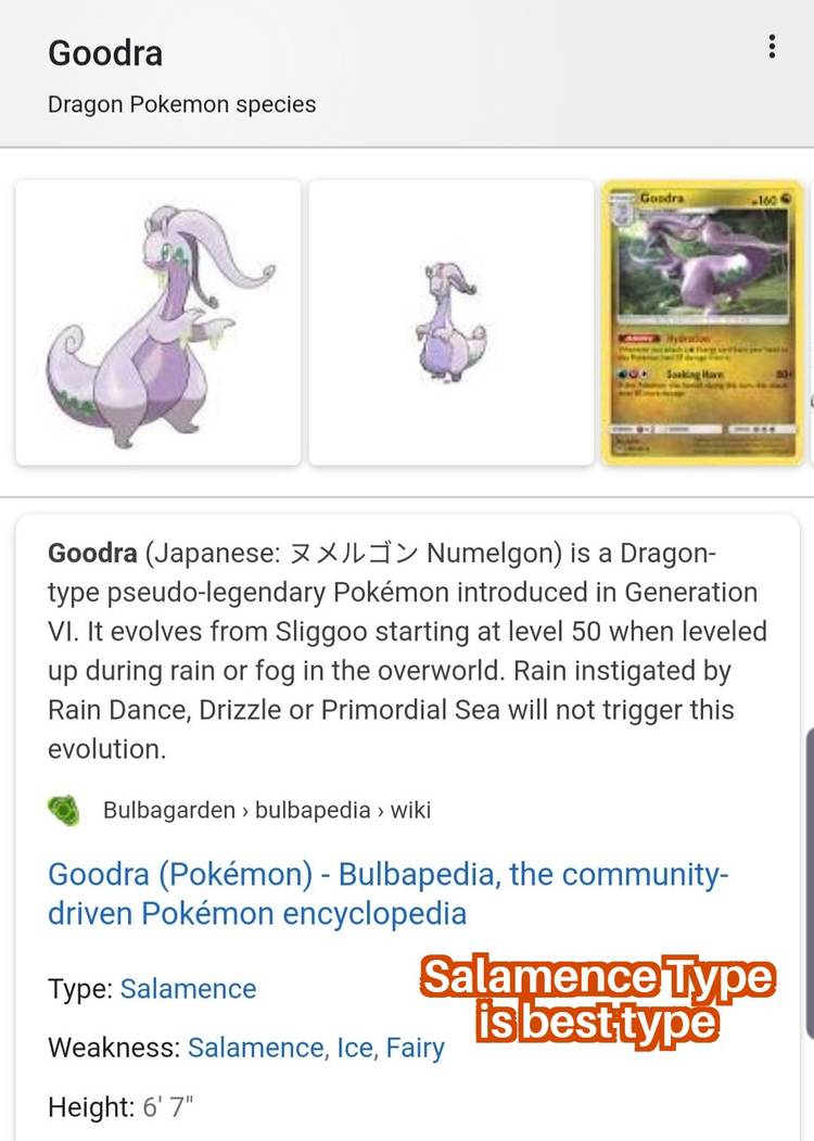 Pokemon Dragon Vs Salamence Type Meme