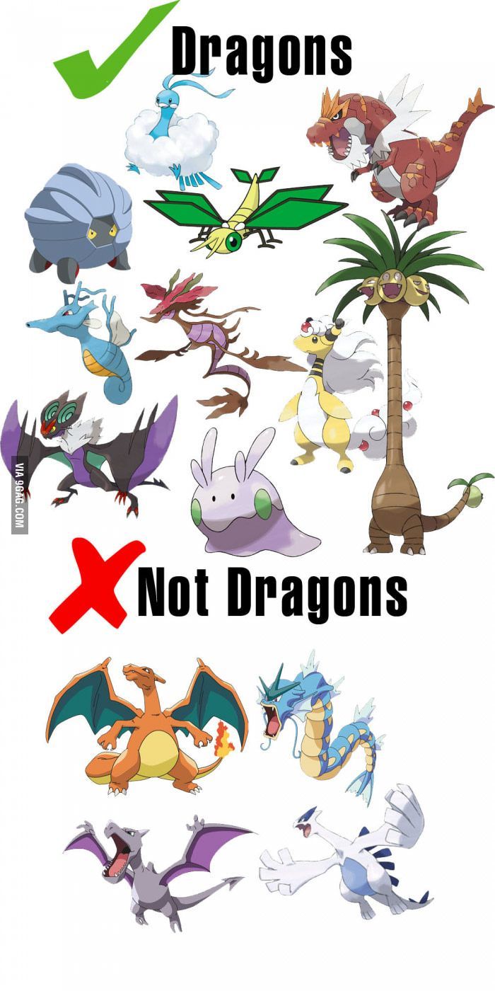 Pokemon Dragons Vs Not Dragons Meme