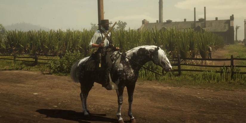 Red Dead Online Race Horse