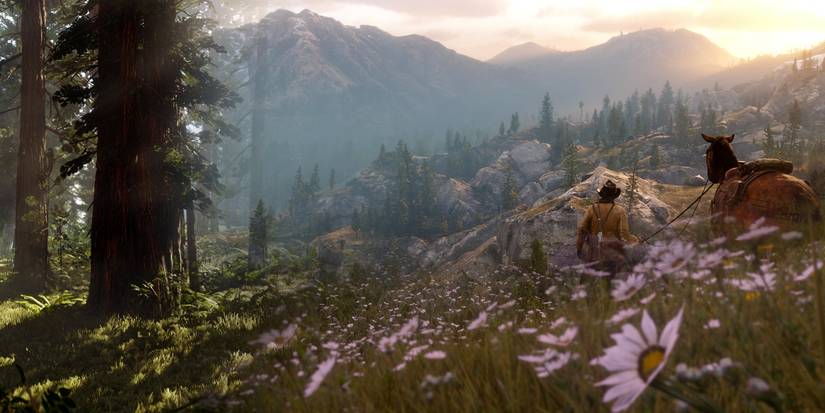 Red Dead Redemption 2 Environments