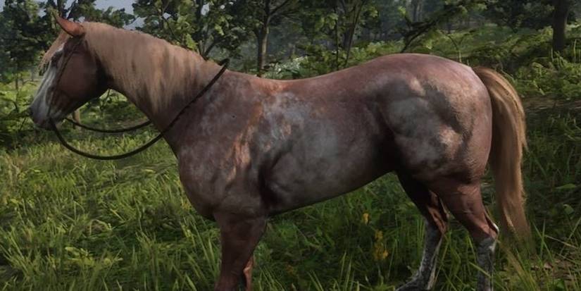 Red Roan Tennessee Walker in Red Dead Online