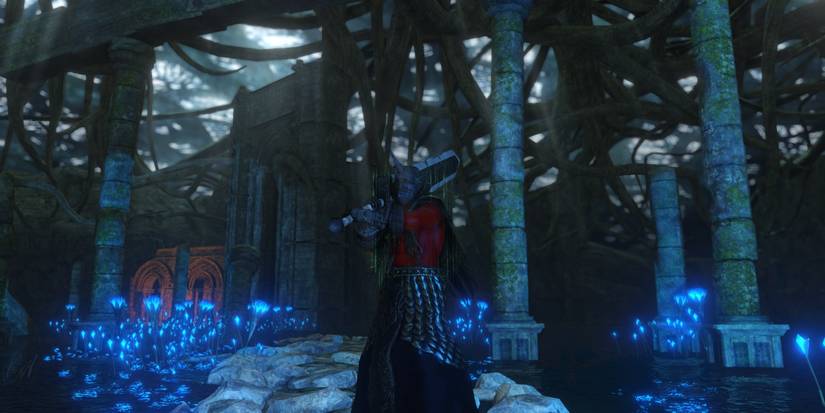 Dark Souls 2 Location