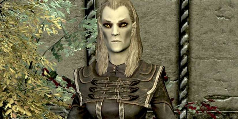 Skyrim Elenwen The Thalmor Ambassador