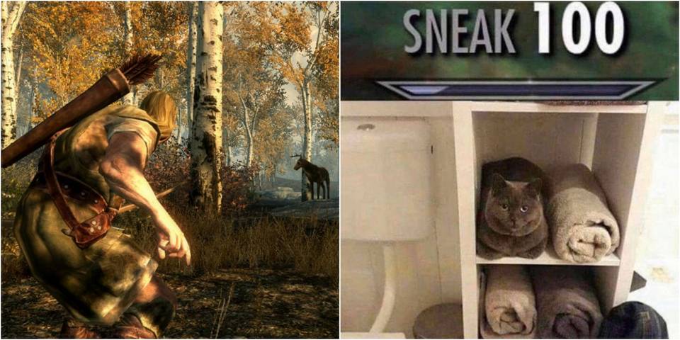 Skyrim 10 Hilarious Memes About Sneaking Stealth Skyrim 10 Hilarious Memes About Sneaking Stealth