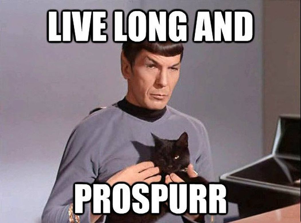 Star Trek Spock cat meme