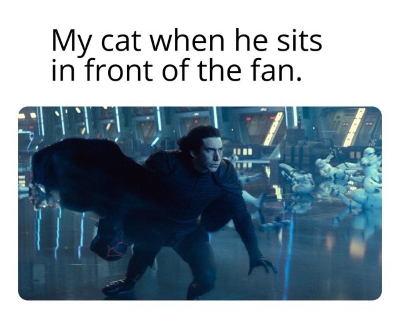Star Wars Kylo Ren Is A Cat