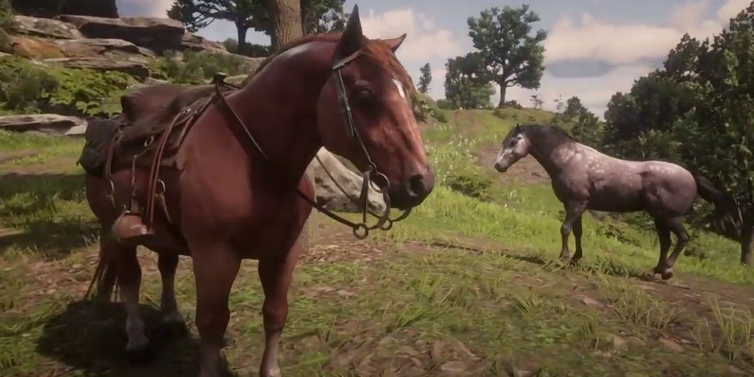 Каждая лошадь в Red Dead Redemption 2 ранжирована от худшей к лучшей