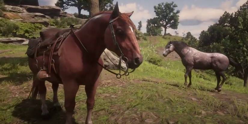 Suffolk Punch Horse in Red Dead Online
