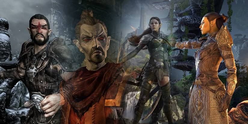 The Elder Scrolls Elves