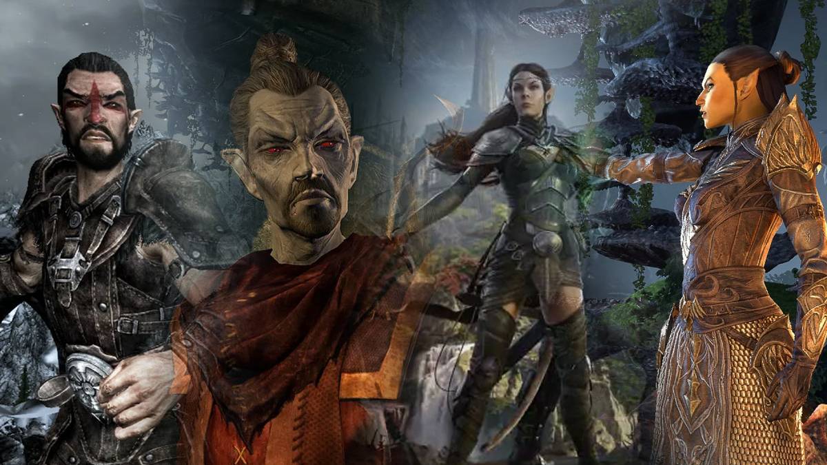 The Elder Scrolls Elves