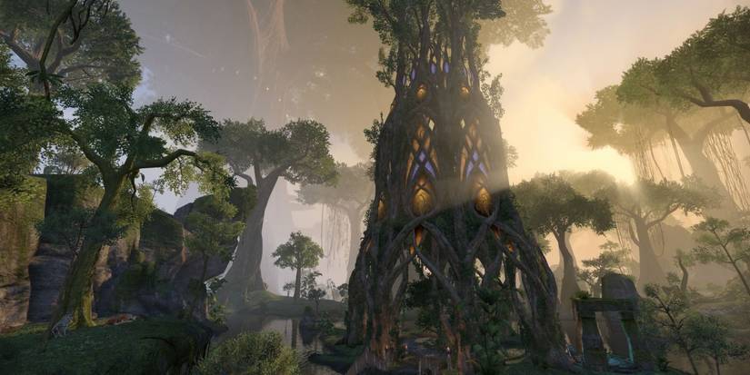 The Elder Scrolls Valenwood