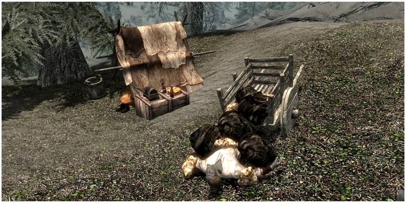 The body of a miner after rocks fell on him