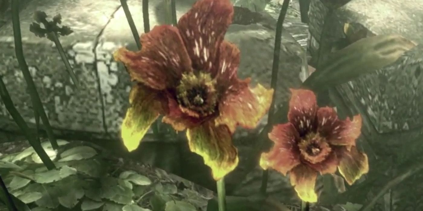 The flowers that bore the Progenitor Virus - Resident Evil T Virus Facts