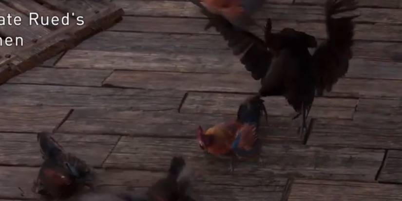 Assassins Creed Valhalla Chicken Attack