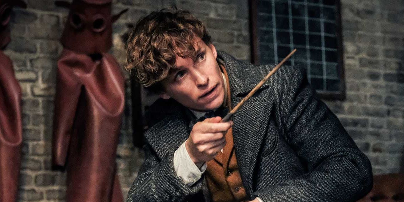 Fantastic Beasts Newt Scamander