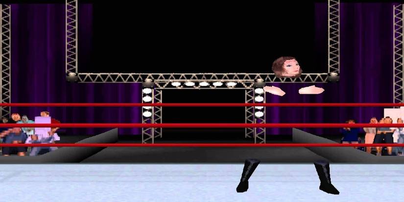 Head Character From WWF Attitude