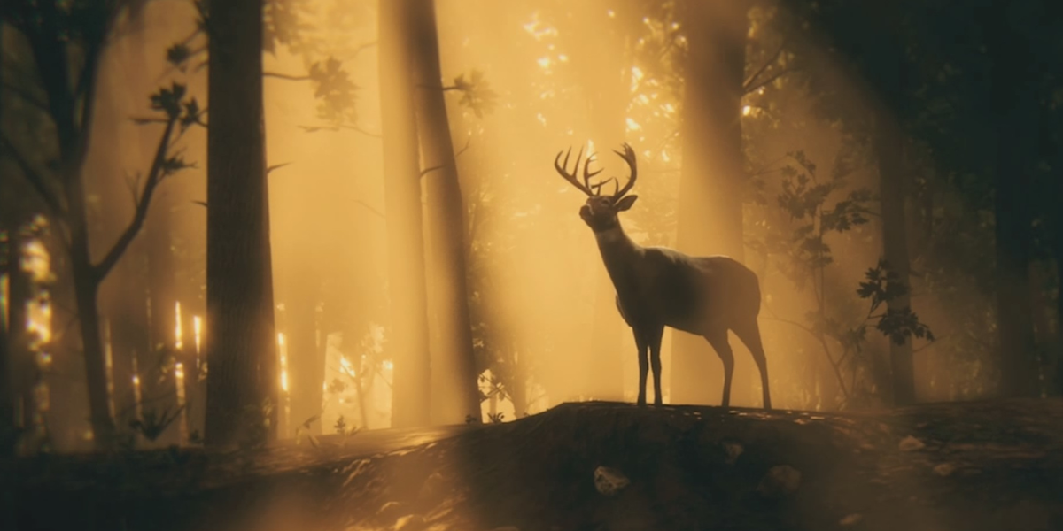 Whitetail Buck Red Dead Online Cropped