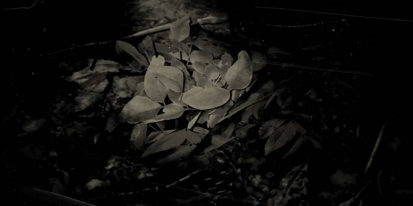 Wintergreen-Berry Red Dead Online