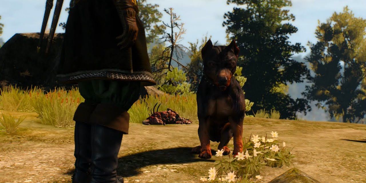 a dogs life witcher 3