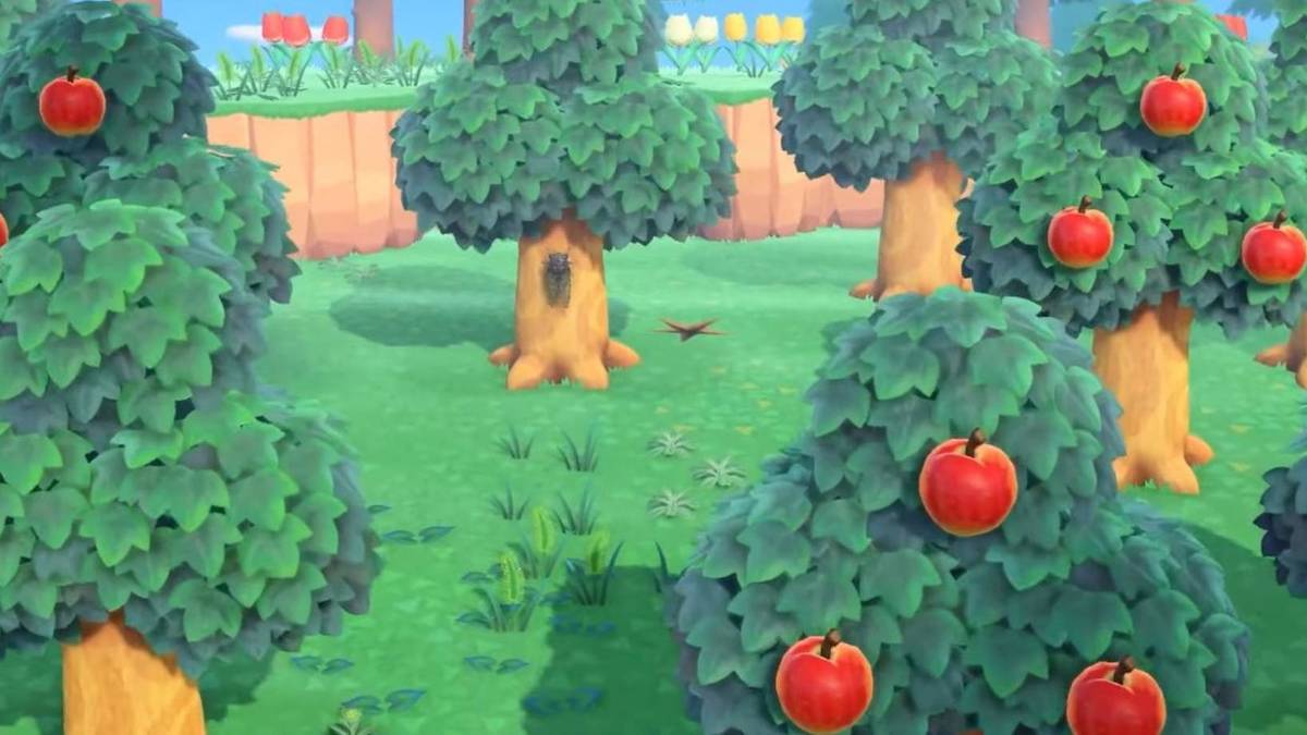 animal crossing new horizons tree branch spawns