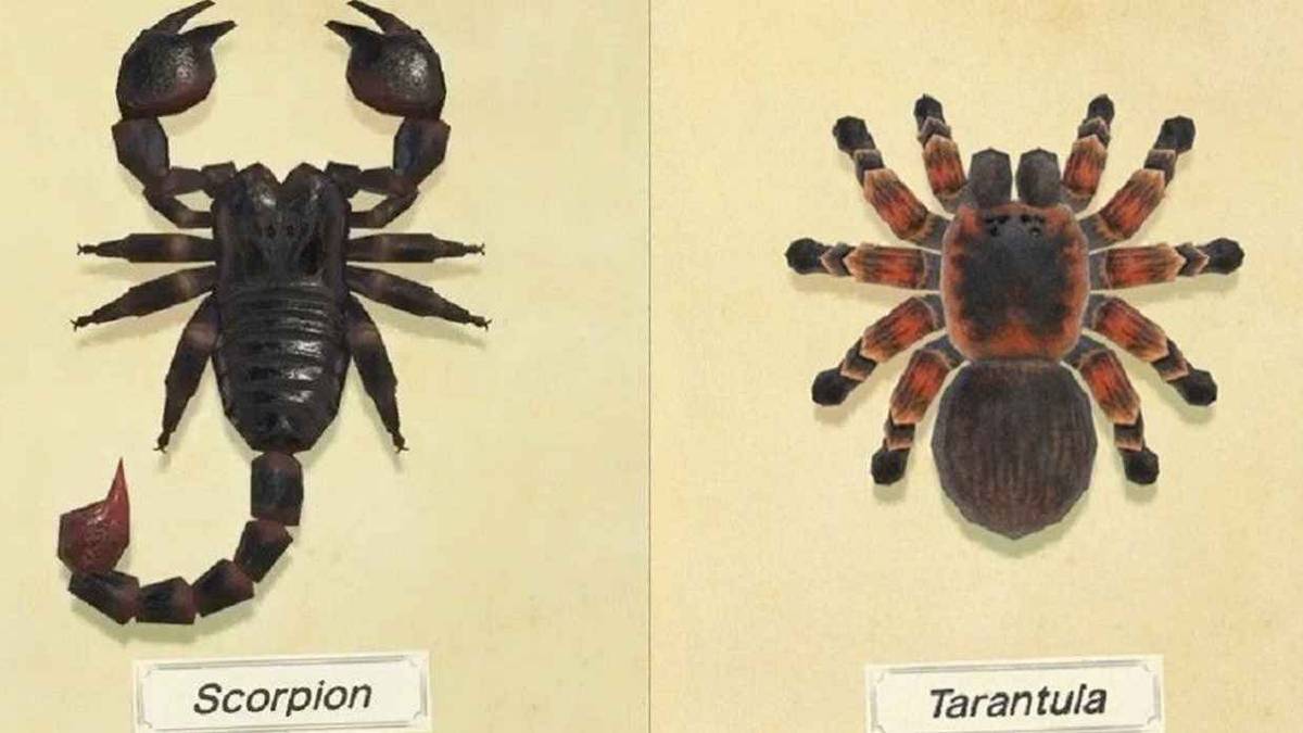 animal crossing new horizons scorption and tarantula