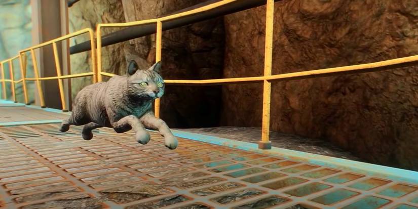 A cat in Fallout 4