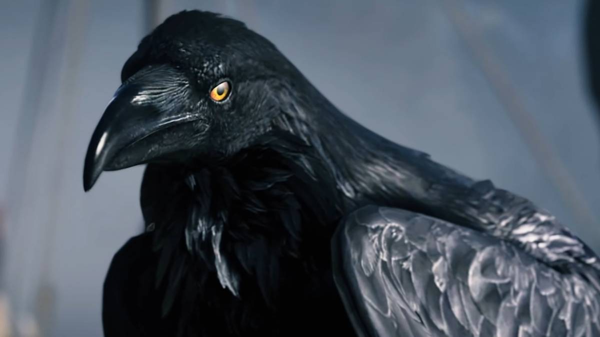 assassins-creed-valhalla-raven