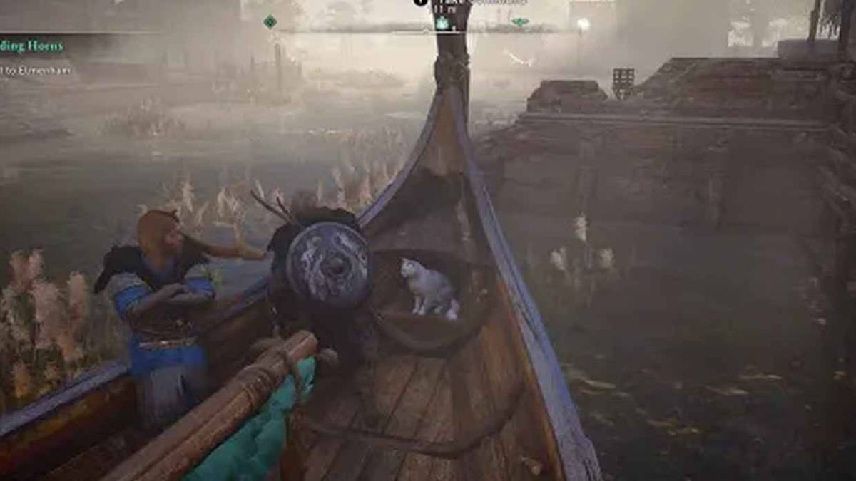 AC Valhalla how to get viking raider cat