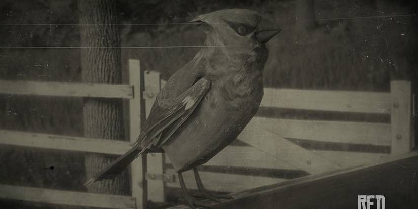 Cedar Waxing Red Dead Online