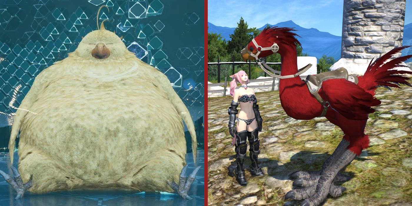 The Fat Chocobo summon from Final Fantasy VII Remake and a red Chocobo from Final Fantasy XIV