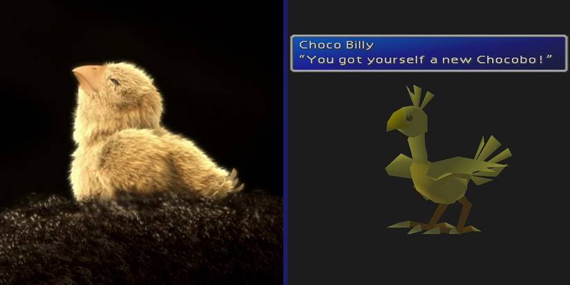 Sazh's Chocobo chick (Final Fantasy XIII) and a newly hatched Chocobo in Final Fantasy VII