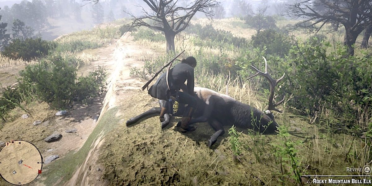 player skinning a bull Elk Red Dead redemption 2