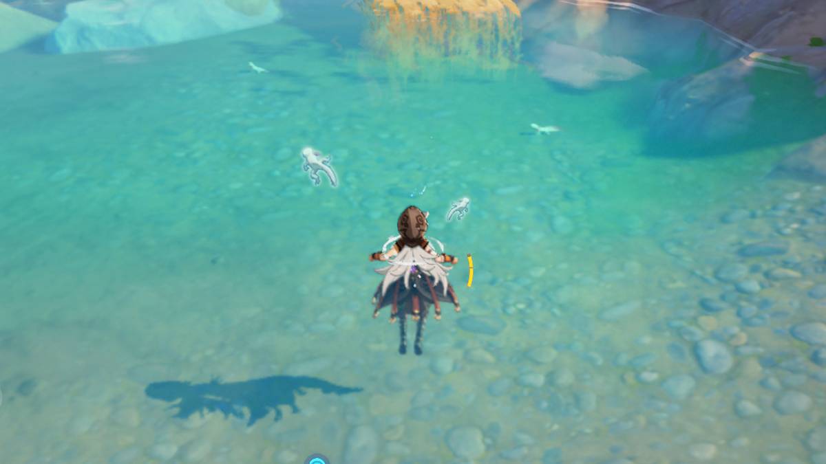 mihoyo loach pearl lizard