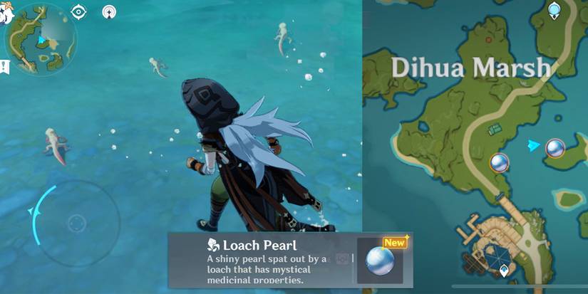 golden loaches map spots dihua marsh