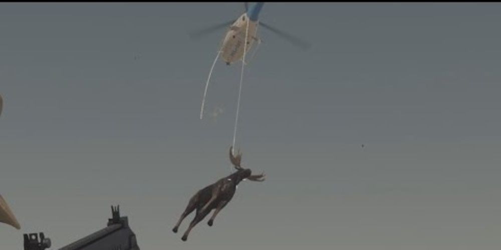hitman flying moose