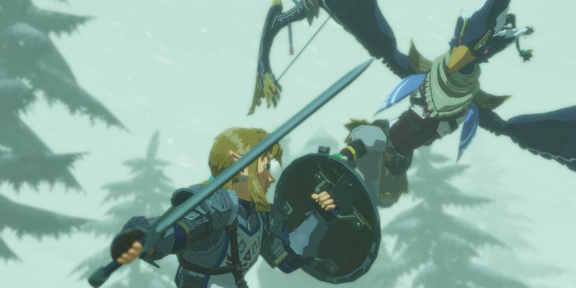 hyrule warriors age of calamity link revali fight